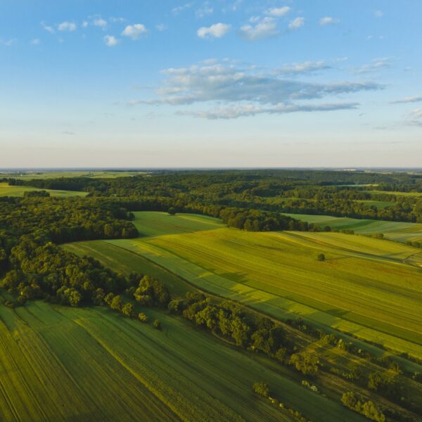 Góra św Anny DJI_0783